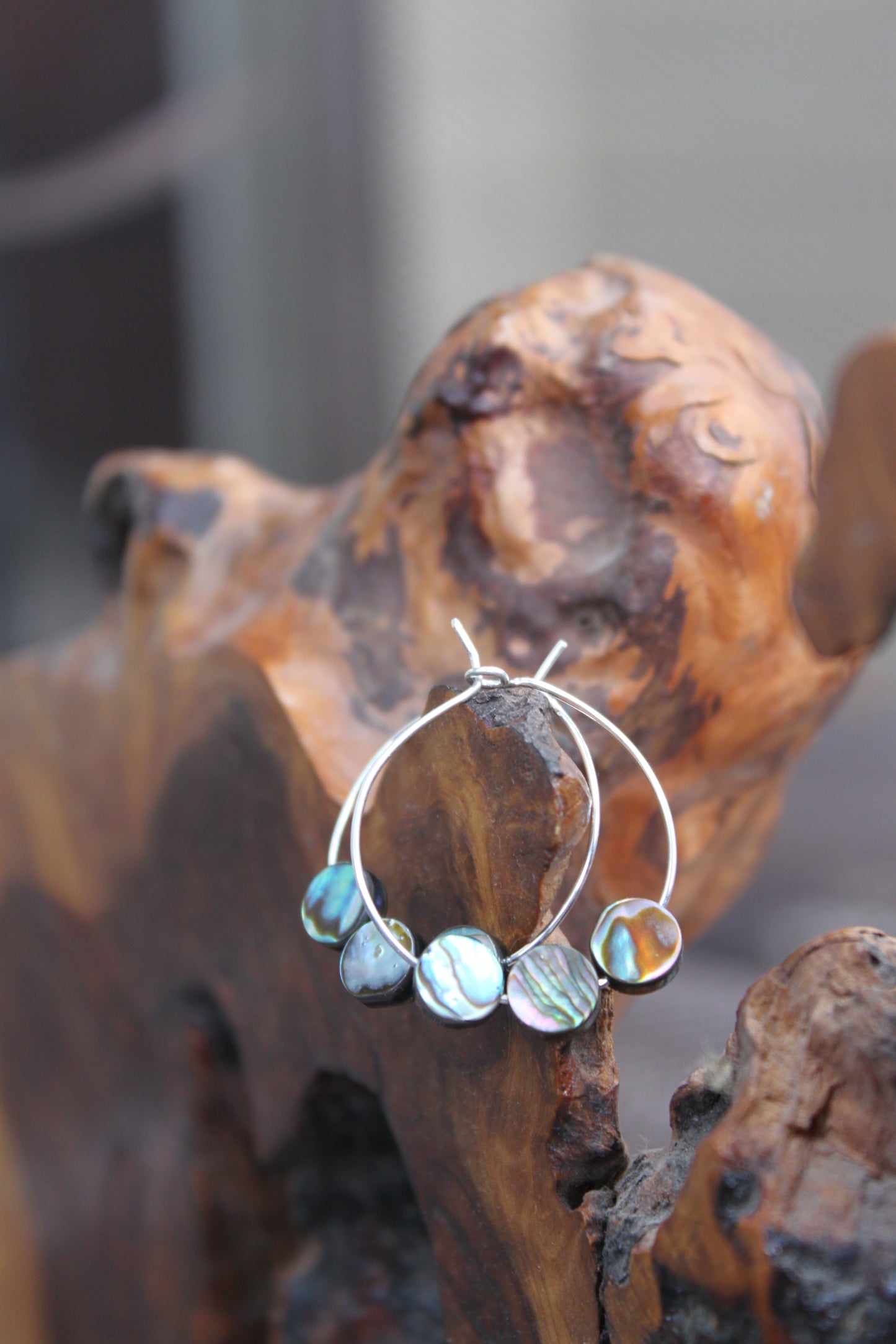 Sea Hoops